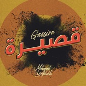 Qaseera artwork