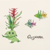 Guzmania - EP