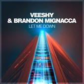 Let Me Down (Vocal Mix) artwork