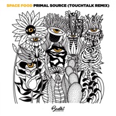 Primal Source (TouchTalk Extended Remix) artwork