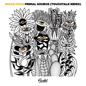 Primal Source (TouchTalk Remix) artwork