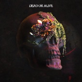 Dead or Alive artwork