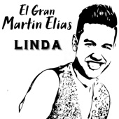 Linda (En vivo) artwork