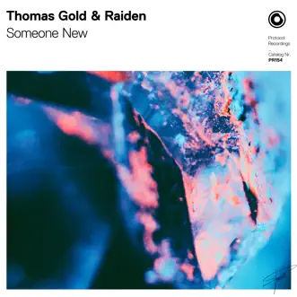 Someone New (Extended Mix) by Thomas Gold & Raiden song reviws