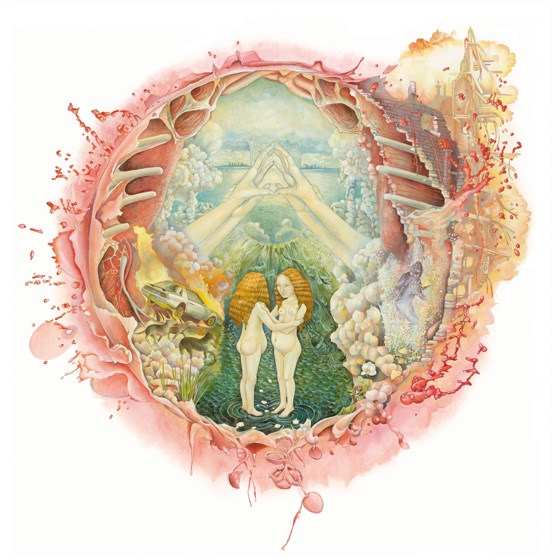 Cover artwork for The Arm