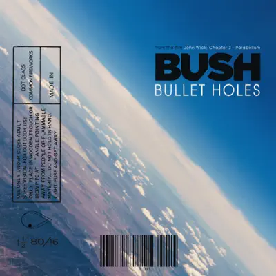 Bullet Holes - Single - Bush