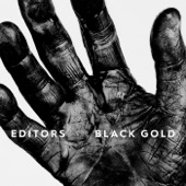Black Gold (Edit) artwork