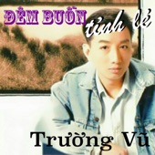 Đêm Buồn Tỉnh Lẻ artwork