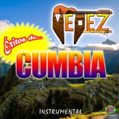 Cumbia del Acordeón artwork