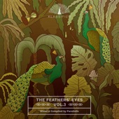 The Feathers' Eyes, Vol. 3 artwork