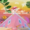 Nothing Like You - Single