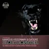 Black Panther - Single album lyrics, reviews, download