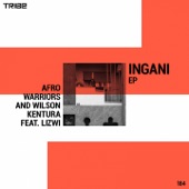Ingani (feat. Lizwi) [Tech Mix] artwork