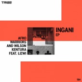 Ingani (feat. Lizwi) artwork