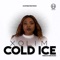 Cold Ice artwork