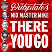 There You Go (feat. MixMaster Mike, Shawn Legree, King Sing & Big Hair) artwork