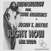 Right Now (Mix 2020) [feat. Soul Elements & Josan T. Battle] - Single album lyrics, reviews, download