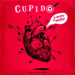 Cupido (feat. Wildey) [Remix] Song Lyrics