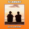 Te Amaré - Single