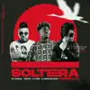 Soltera (Remix) [feat. Dj Master Vega] song lyrics