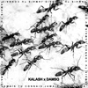 Kalash - JTC