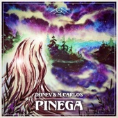 Pinega (feat. Terya) [Tomanka Remix] artwork