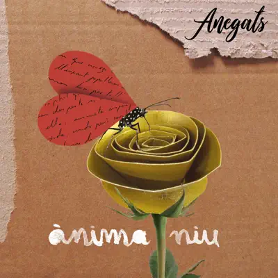 Ànima niu - Anegats