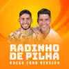 Radinho de Pilha (Brega Funk Version) - Single album lyrics, reviews, download