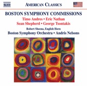 Boston Symphony Commissions artwork