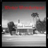 Winter Wonderland - Single