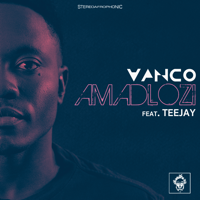 Vanco, Teejay - Amadlozi (feat. Teejay) artwork