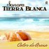 Sonora Tierra Blanca - Salsa y Sabor
