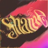 Shame - Single