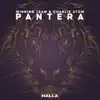 Pantera - Single album lyrics, reviews, download
