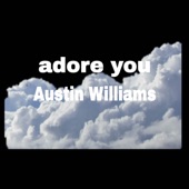 Adore You artwork