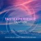 Tantrix (feat. Natasha Pearl) - Tastexperience lyrics