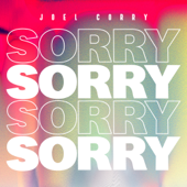 Sorry-Joel Corry