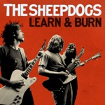 The Sheepdogs - Please Don't Lead Me On