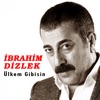 Ülkem Gibisin - Single