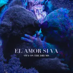 El Amor Si Va Song Lyrics