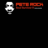 Soul Survivor II - Instrumental artwork