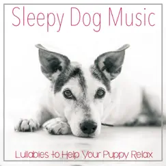 Sleepy Dog Music: Lullabies to Help Your Puppy Relax by Relaxmydog, Dog Music Dreams & Pet Music Therapy album reviews, ratings, credits