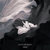 Autumn Rain Rework artwork