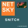 Stream & download Snitch - Single