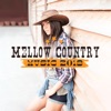 Mellow Country Music 2019: Emotional Sounds, Instrumental Background Music