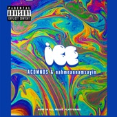 Ice (feat. NahmeanNamsayin) artwork