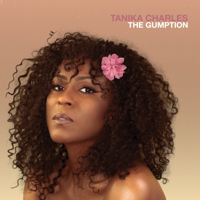 Tanika Charles - The Gumption artwork