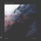 Black Hole (The Remixes) artwork