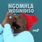 Ngomhla Wosindiso artwork