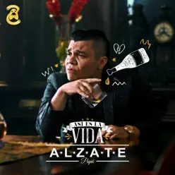 Así Es la Vida - Single - Alzate